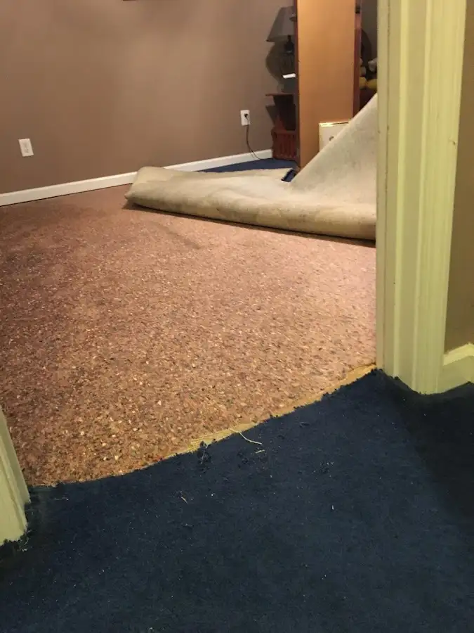 Carpet pad removal revealing water damage during Drying & Dehumidification in Bellefontaine