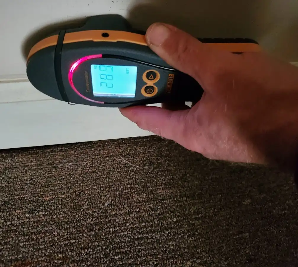 Moisture detection at baseboard during Sewage Cleanup & Sanitation in Bellefontaine